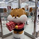 벨리티 네일 스킨 | 강남역 다이소 생리대 구매 오메가3 구경