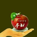 도곡사거리 이미지