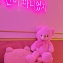 베트남힐링케어핑크베어