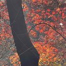 세시간치과의원 이미지