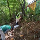 양목초교 이미지