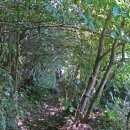 용천사입구 이미지