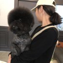 희동이의 하루 이미지