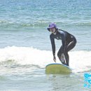 코코넛19 이미지