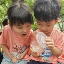 풍납어린이집 이미지