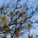 대구종합유통단지 전자상가 이미지