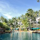 AT비지니스호텔 | 파타야 가족여행 호캉스 호텔 추천｜수영장·조식 다 만족한 아바니 파타야 리조트 후기