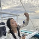 k1한국바다낚시터 | 세부호핑투어 와우세부 귀국팩 후기 (2) 세부 마지막날 일정 추천, 스파 마사지 공항드랍까지 해결