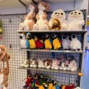 베이비파크 1호점 | [히어로 플레이파크 대구점] 대구 키즈카페 추천 / 31개월 아이랑 즐겁게 놀다 온 후기