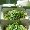 파양파군파다닭 이미지