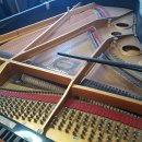 영창농장 이미지