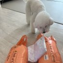 클러스터라운드 | CRR전포, 클러스터라운드 방석 내돈내산후기