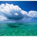 초록바다 이미지