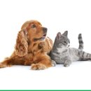 광제약국 이미지