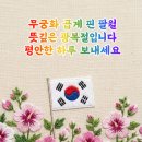 81주년 광복절 기념, 나라를 지킨 순국선열들의 명언 모음 이미지