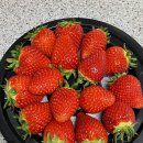 권선동 | [후기]수원 권선동 마트킹 동수원점에 가자