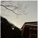 계곡뜰펜션 이미지