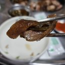 용마루굴다리껍데기