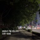 한국유도원 | 2025.7.1~7.20
