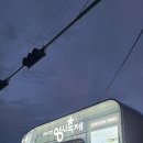 [대전 여행]영시축제 첫날 방문후기
