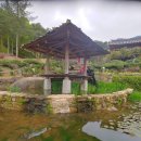 산청의 연못정원이 아름다운 수선사 (23.04.18) 이미지