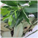 화복농장 이미지