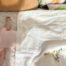 4공단로1L-14 | 8개월 아기와 14시간 장거리 비행 후기 | 시카고 오헤어-인천 대한항공 베시넷 좌석이용