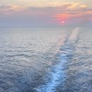 [Eastern Venus] 이스턴 크루즈 사 - '이스턴 비너스'호 내돈내산 솔직 탑승후기
