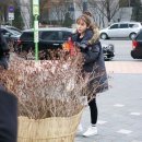 소미 이미지