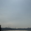 옥겸이네 | 봄별미 실치회 먹어봤남?? 장고항 실치회 맛집 110호 “옥겸이네 수산” /2025 당진 장고항 실치축제 일정