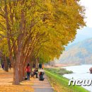 송호관광지 이미지