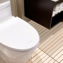 편백나무아래 이미지