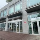 팬도로시수원