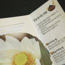 햇님상회 이미지
