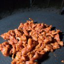오토카밋션 | 함양 용추오토캠핑장 후기｜계곡 힐링 가능한 11번 사이트