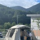 [강릉_하슬라캠핑장]신생 캠핑장 B-3사이트 내돈내산 후기 애견동반 가능(울타리 없음)