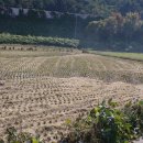 대운산리 이미지