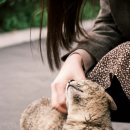 아이튼튼 동물병원 이미지