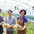 김희수농장 이미지