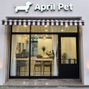 에이프릴펫 이미지