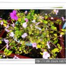 근화건설(주) 이미지