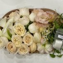 반데르센트