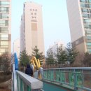 분당-313 이미지