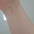 필종합동물병원 이미지