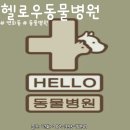 헬로우동물병원 이미지