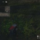 주식회사 플레이니스 이미지