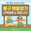 대구 동구의 맨발걷기 산책로를 추천~ 이미지