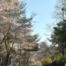 산성보건진료소 | 남한산성 둘레길 등산코스 추천 3코스 왕초보도 가능 소요시간 주말 주차