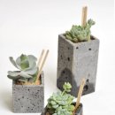 큐브 스타일의 다육식물 박스&미니 벽돌화분 이미지