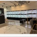 빼로독 강아지분양 의정부본점 이미지